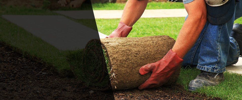 Cataula Landscapers